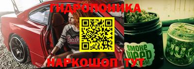 крисы Балаково