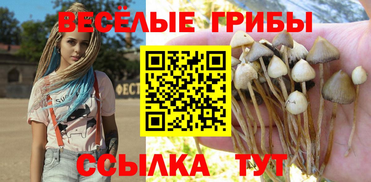 Псилоцибиновые грибы Psilocybine cubensis  Вход с VPN  Долгопрудный  Галлюциногенные грибы Magic Shrooms 